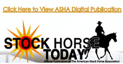 Stock Horse Today Logo on Home Page
